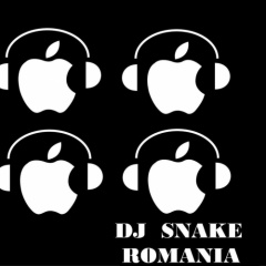 DjSnakeRomania