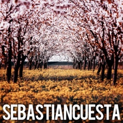 Sebastian Cuesta