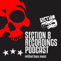 Section 8 Recordings