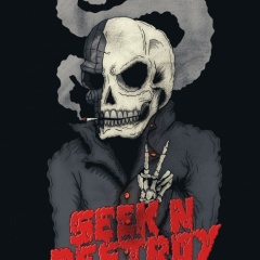 Seek N Destroy