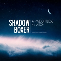 Shadow Boxer