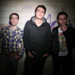 Shaved Monkeys