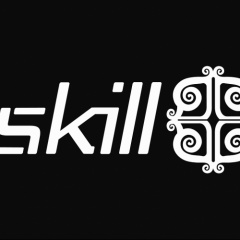 Dj Skill