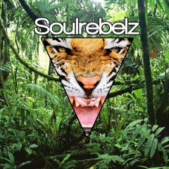 Soulrebelz