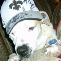 WHO DAT