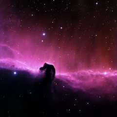 Space Horse