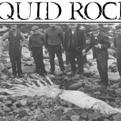 Squid Rock