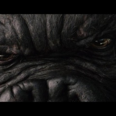 Sr. KONG