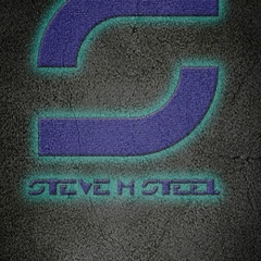 STEVE M STEEL