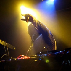 swami harmony