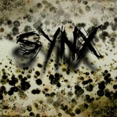Synx