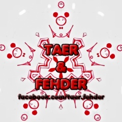 Taer &amp; Fehder