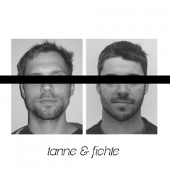 Tanne und Fichte