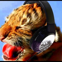 Bulletproof Tiger