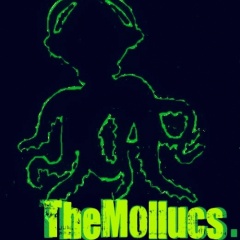 The Mollucs