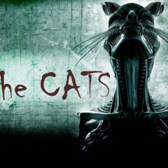 The CATS