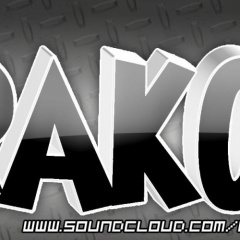 Rakoon