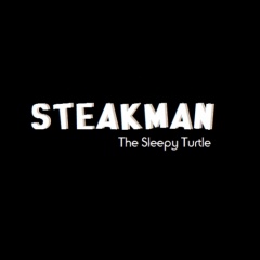 The Sleepy Turtle