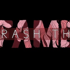 Trash The Fame