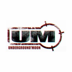 U'MOON project