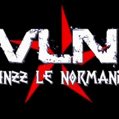 VLN ( Vinzz Le Normand )