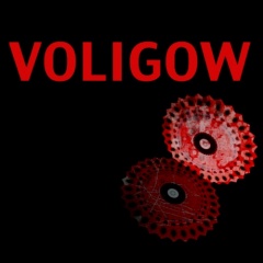 Voligow