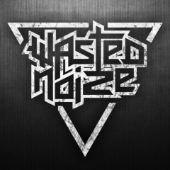 Wasted Noize