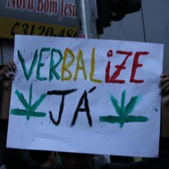 Weedskunk