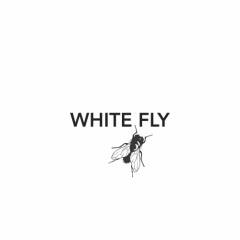 WhiteFly
