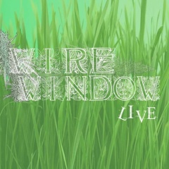 Wire Window