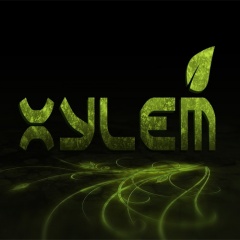 Xylem