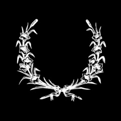 ysm
